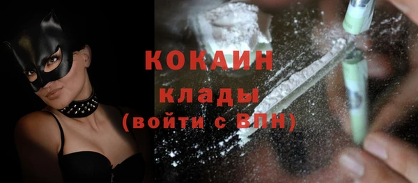шишки Козловка