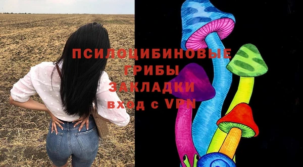 спиды Козельск