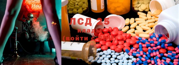 шишки Козловка